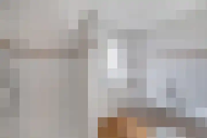 Voorne 8 Emmeloord thumbnail 50