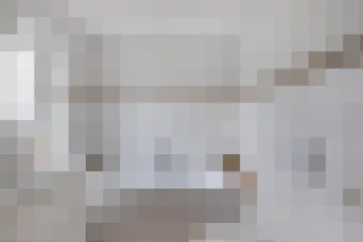 Voorne 8 Emmeloord thumbnail 51