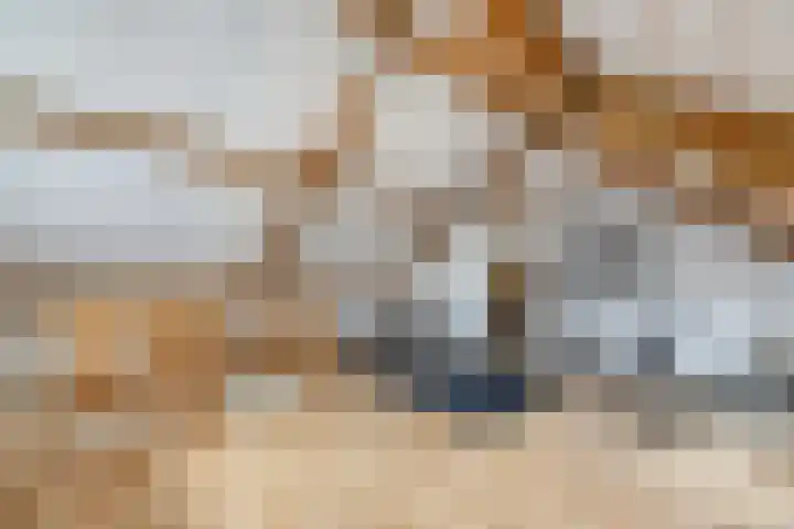 Voorne 8 Emmeloord thumbnail 53