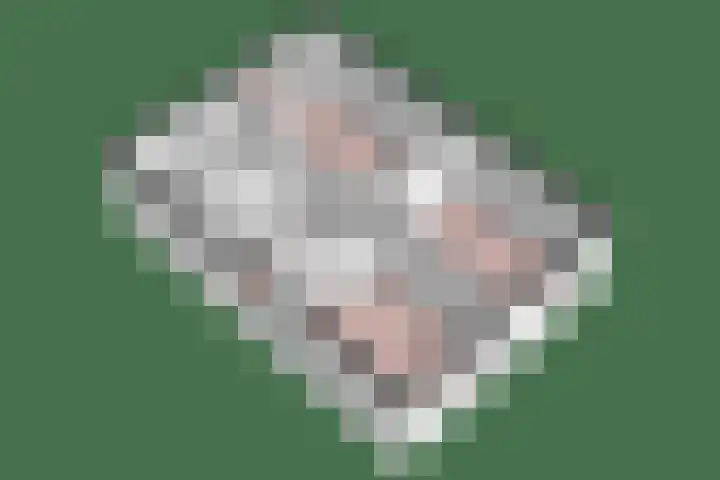 Voorne 8 Emmeloord thumbnail 60