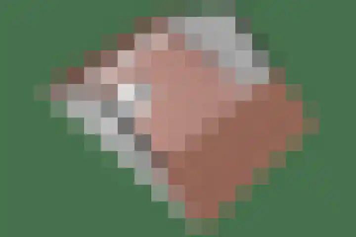 Voorne 8 Emmeloord thumbnail 62