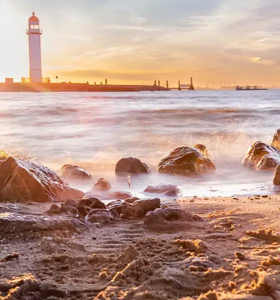 Team foto van Voorne Makelaars