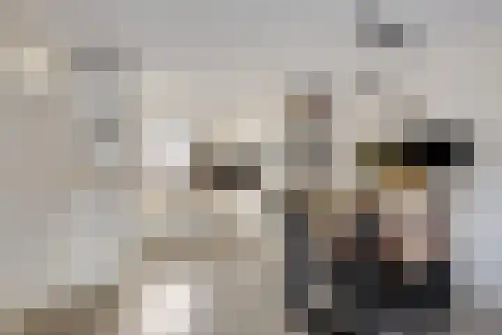 Voornestraat 11 Alkmaar thumbnail 12