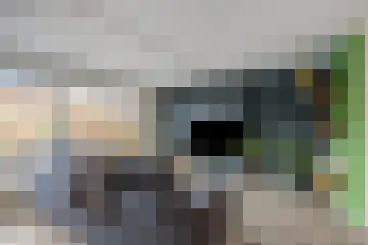 Voornestraat 11 Alkmaar thumbnail 18
