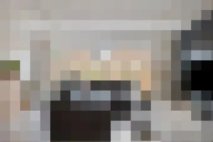Voornestraat 11 Alkmaar thumbnail 19