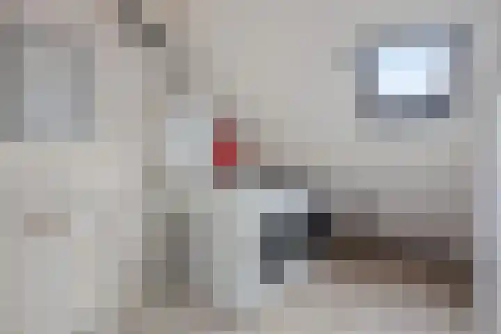 Voornestraat 11 Alkmaar thumbnail 35