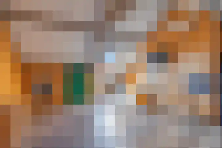 Voornestraat 13 Amsterdam thumbnail 13