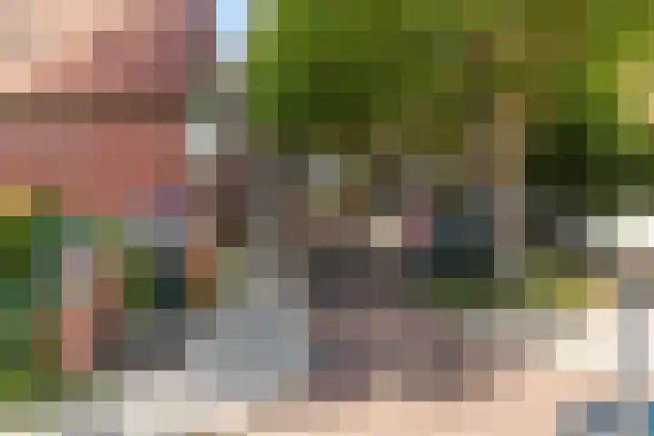 Voornestraat 13 Amsterdam thumbnail 8