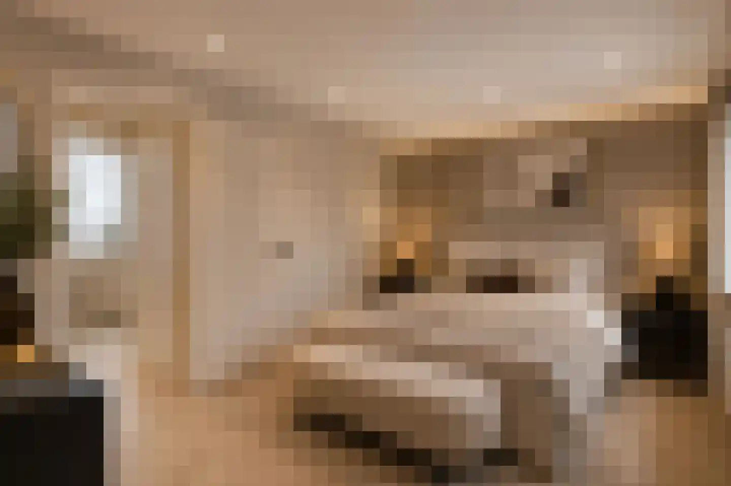 Voornestraat 17 Amsterdam thumbnail 11