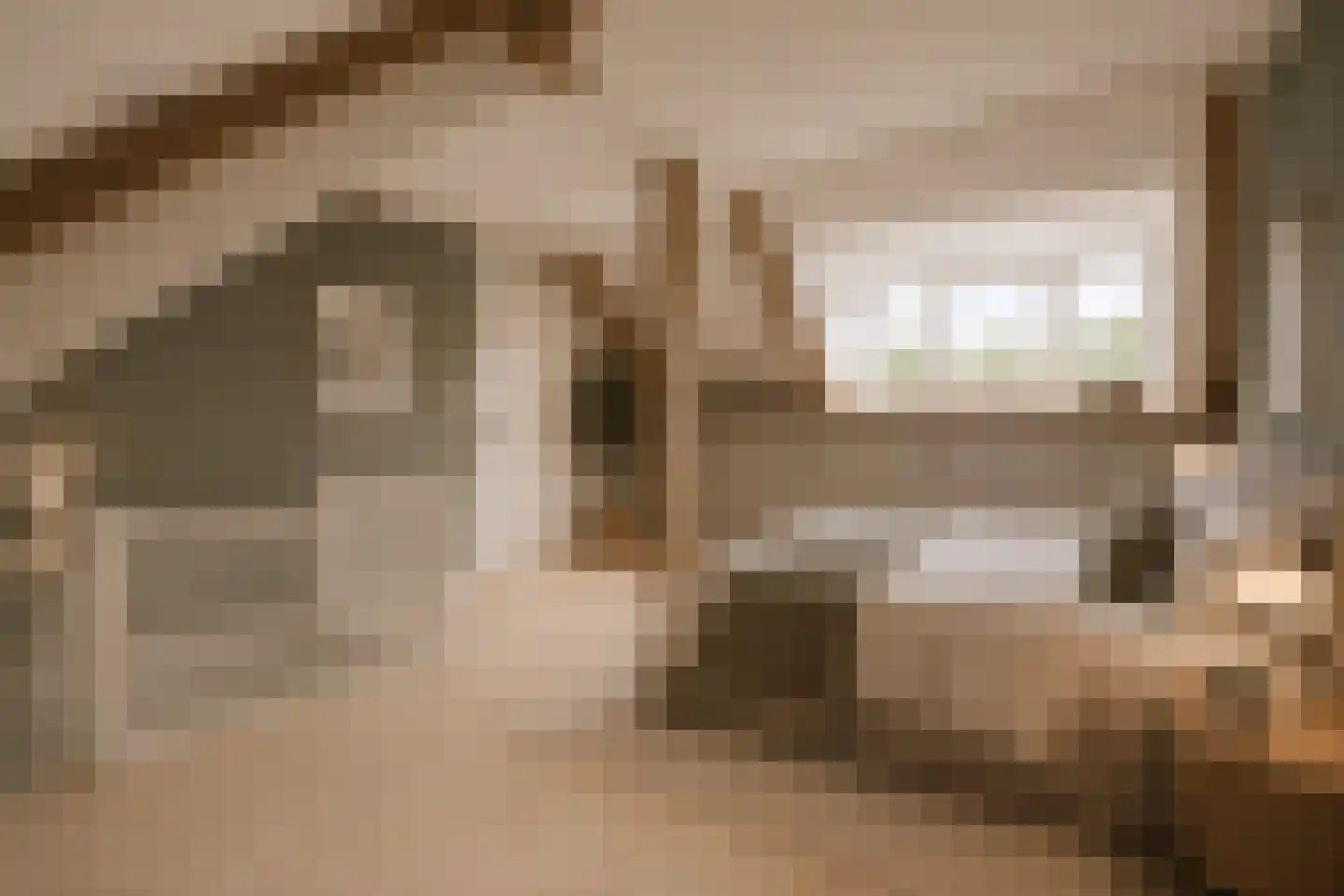 Voornestraat 17 Amsterdam thumbnail 19