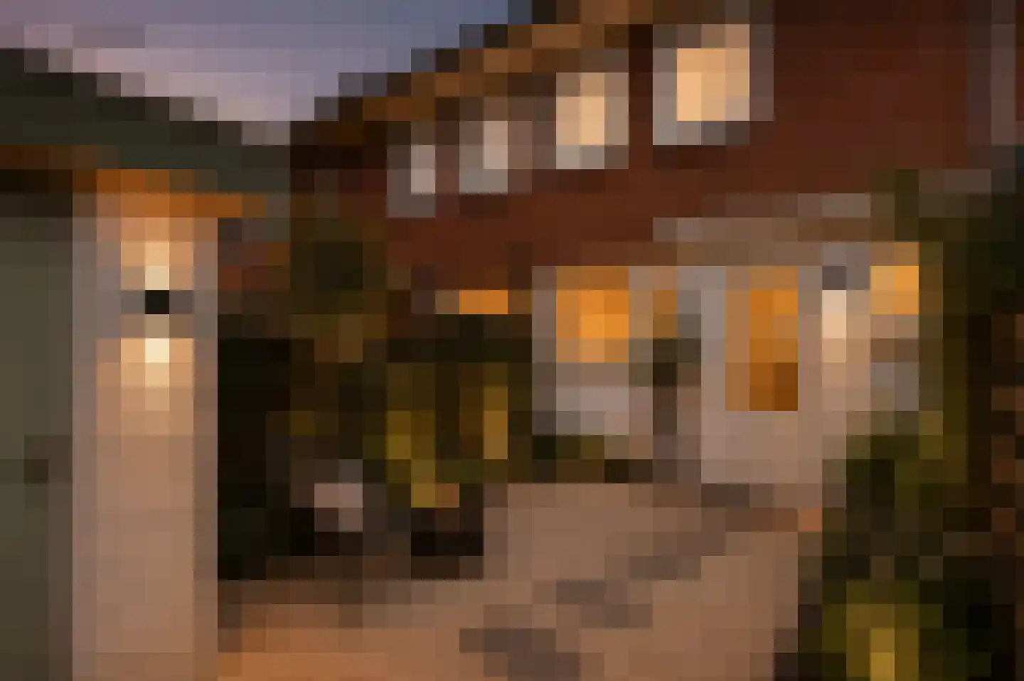 Voornestraat 17 Amsterdam thumbnail 5
