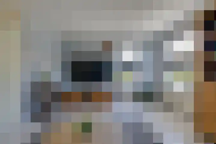 Voornestraat 21 Duiven thumbnail 16