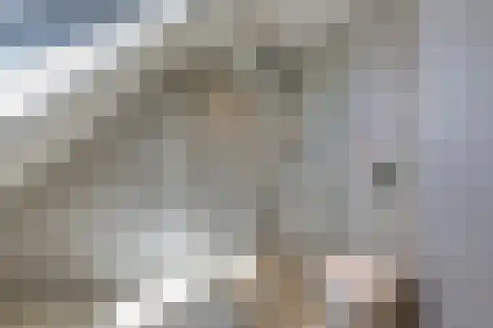 Voornestraat 21 Duiven thumbnail 39
