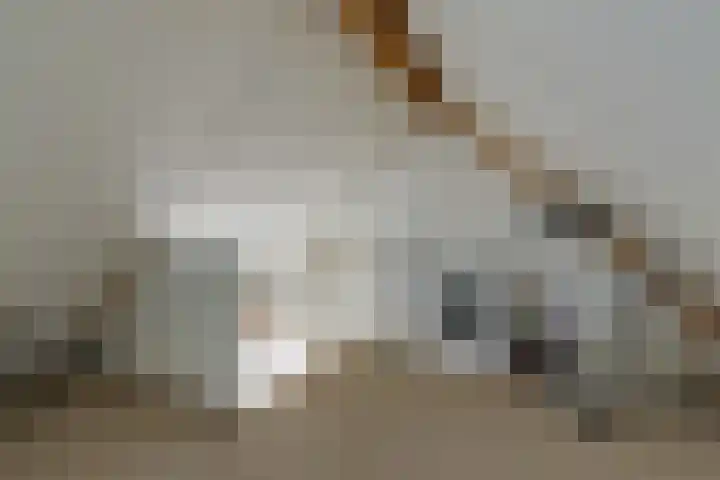Voornestraat 21 Duiven thumbnail 44