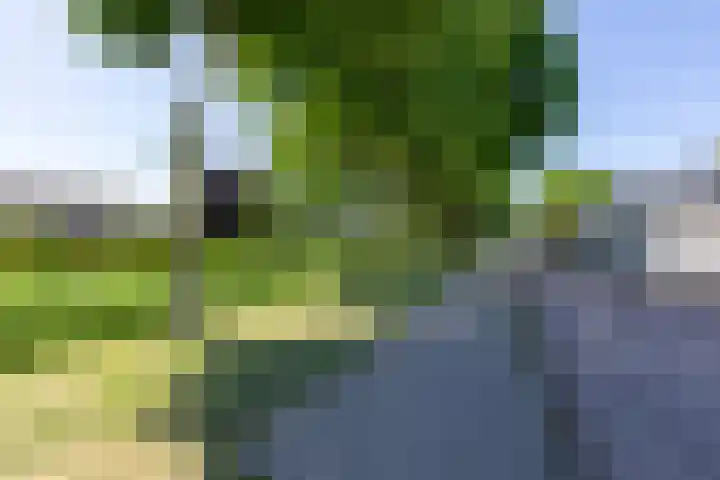 Voornestraat 21 Duiven thumbnail 6