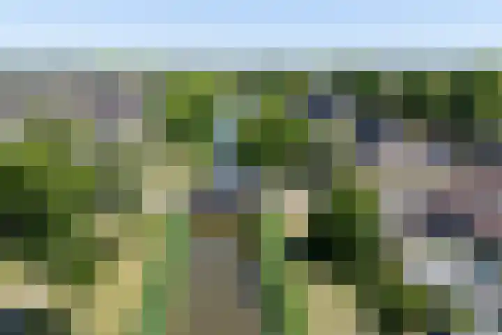 Voornestraat 21 Duiven thumbnail 66