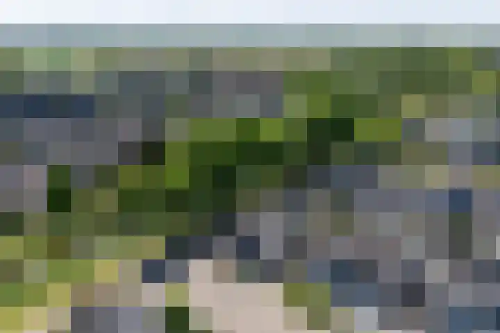 Voornestraat 21 Duiven thumbnail 67