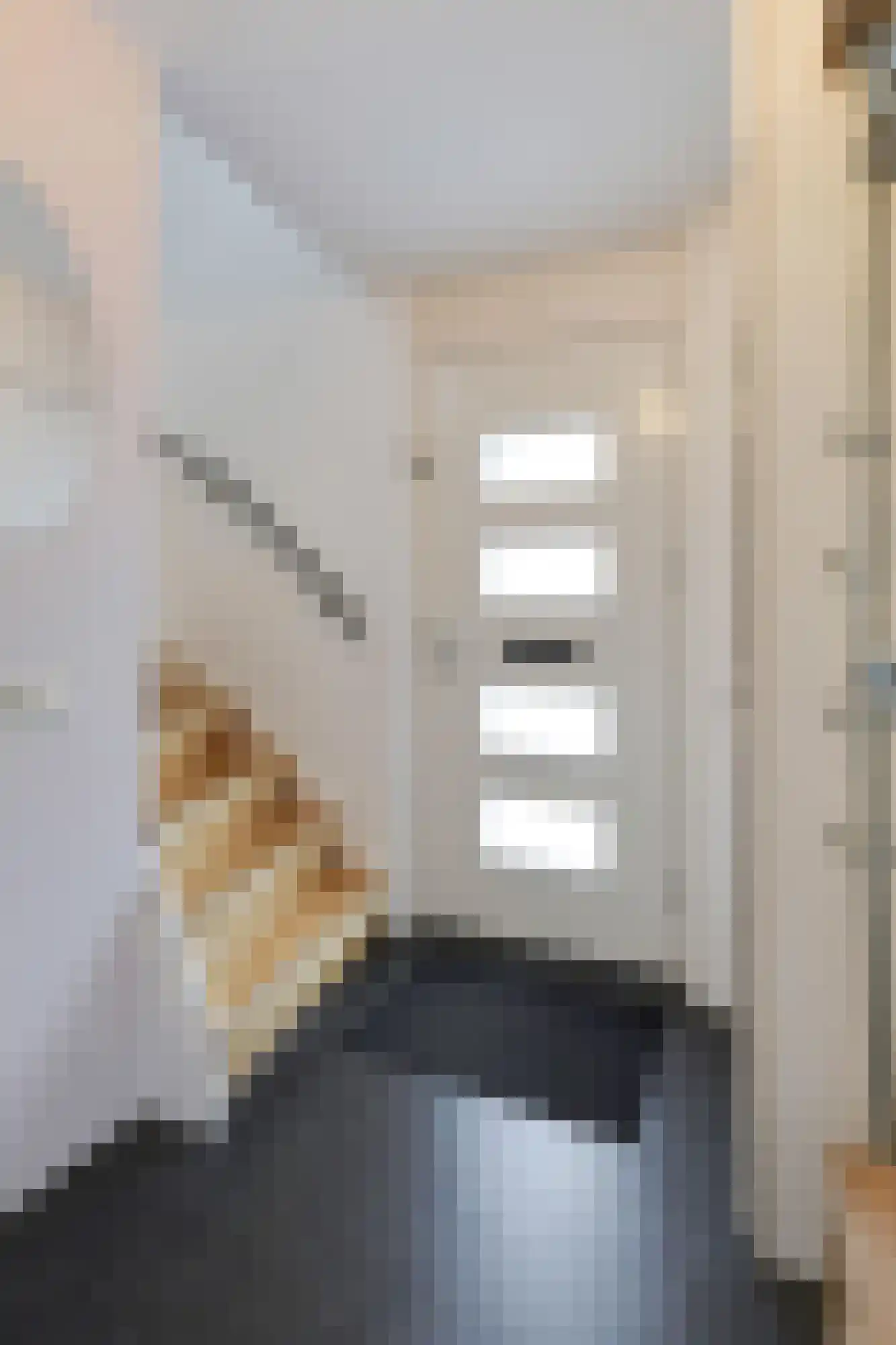 Voornestraat 24 Duiven thumbnail 11