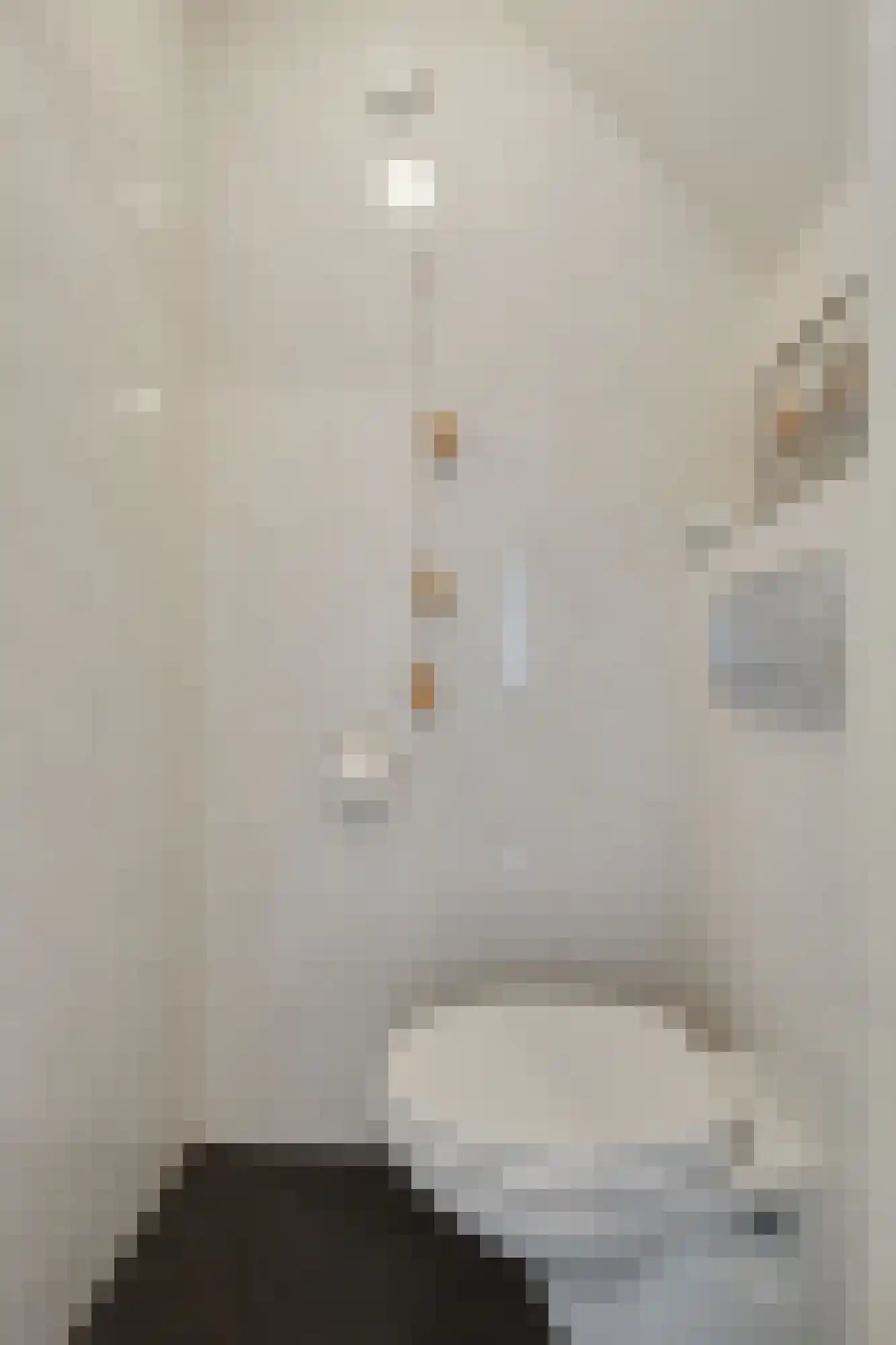Voornestraat 24 Duiven thumbnail 12