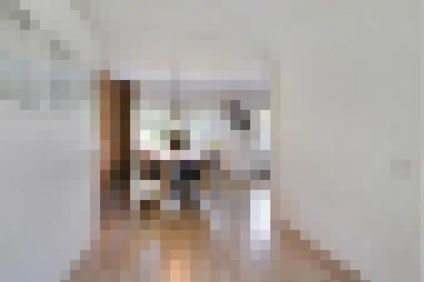 Voornestraat 24 Duiven thumbnail 20