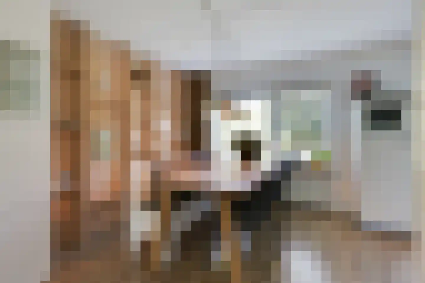 Voornestraat 24 Duiven thumbnail 21