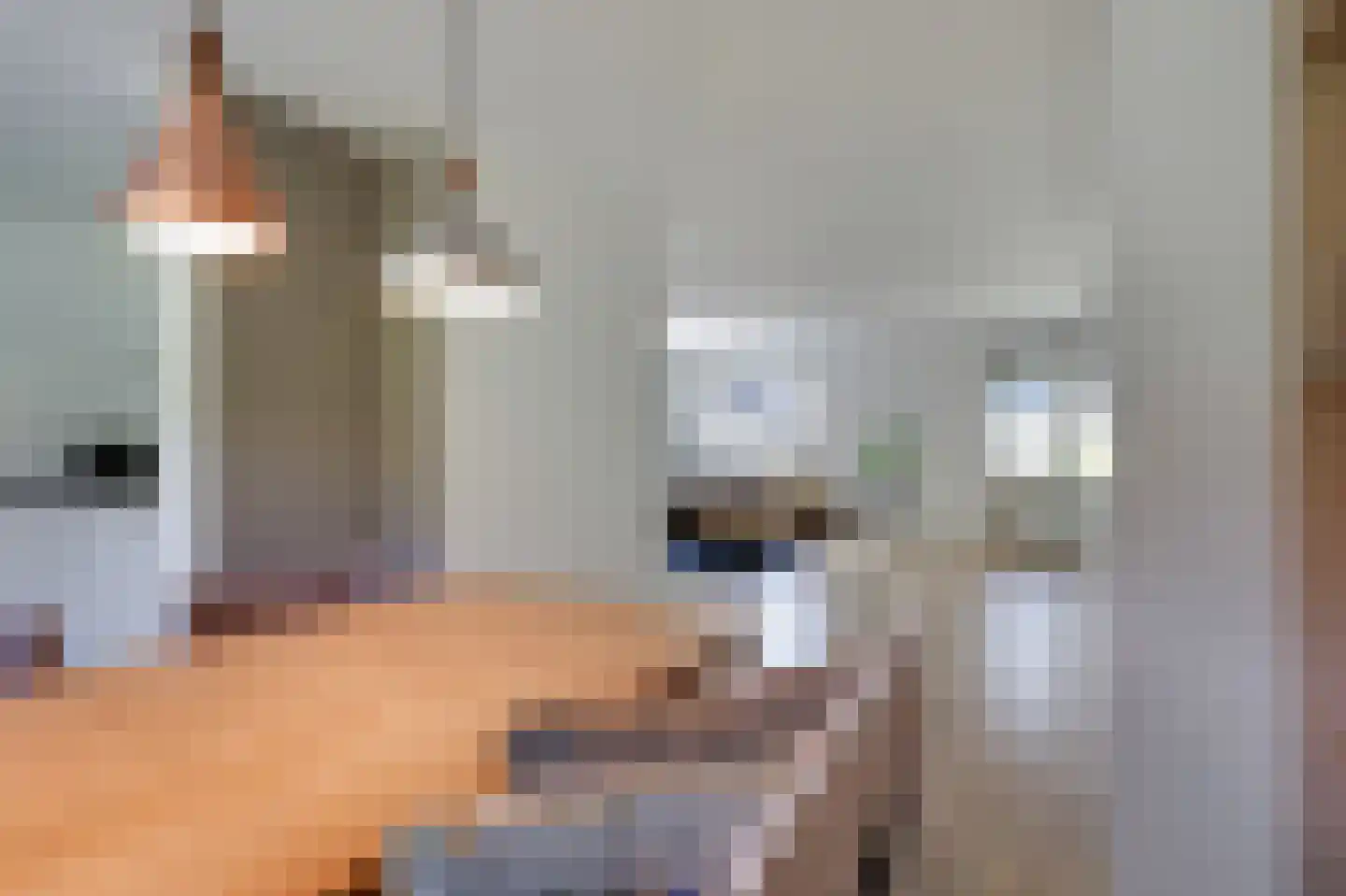 Voornestraat 24 Duiven thumbnail 22