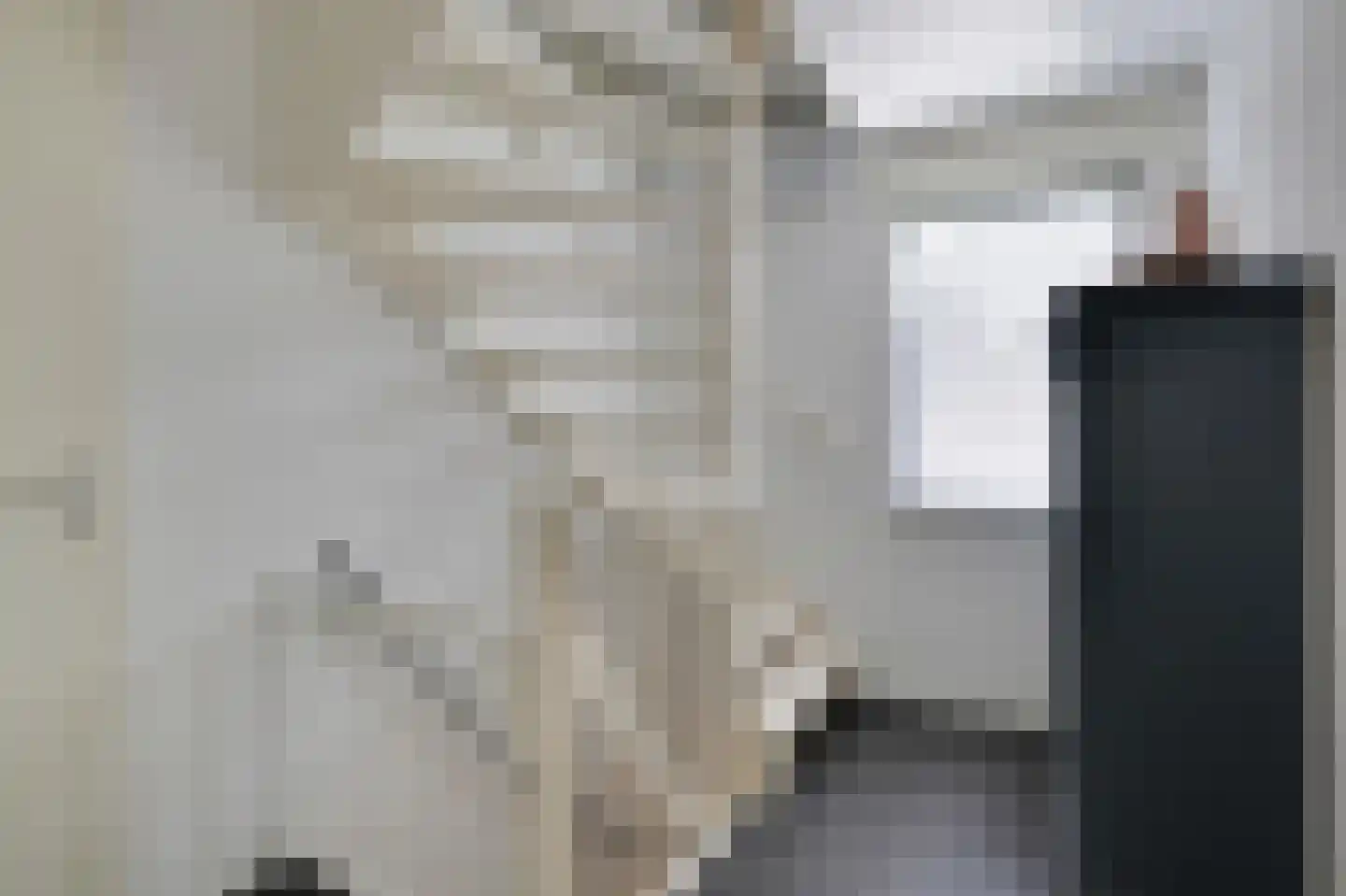Voornestraat 24 Duiven thumbnail 28