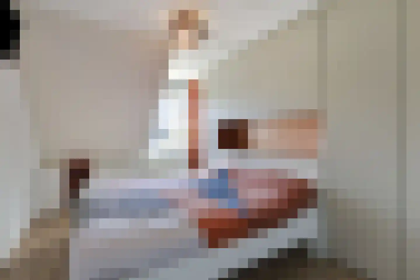 Voornestraat 24 Duiven thumbnail 30