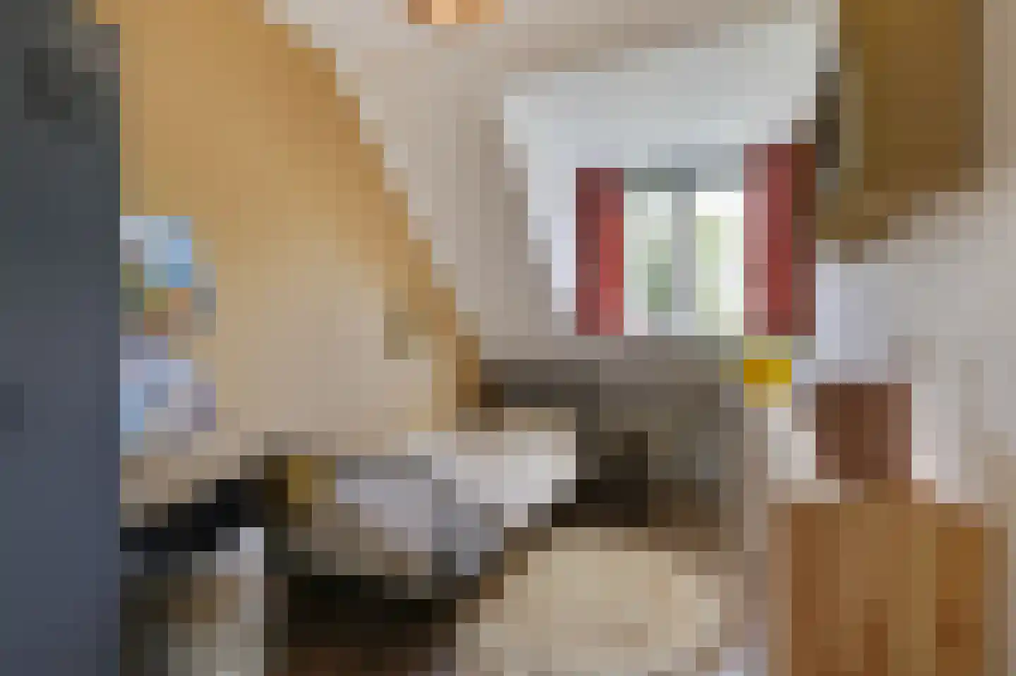 Voornestraat 24 Duiven thumbnail 34