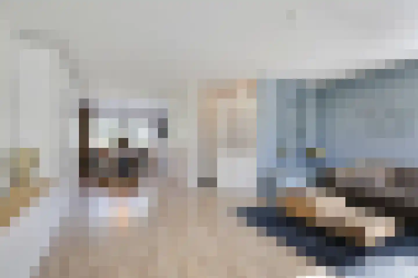 Voornestraat 24 Duiven thumbnail 4