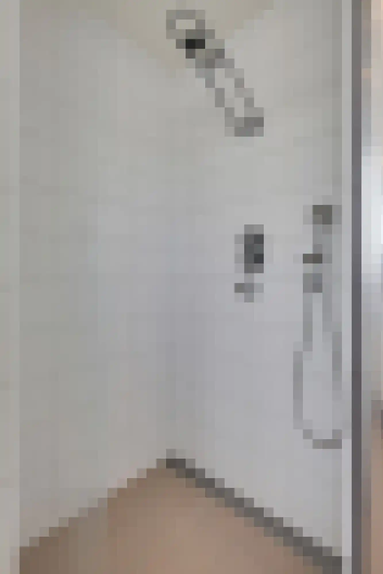 Voornestraat 24 Duiven thumbnail 40