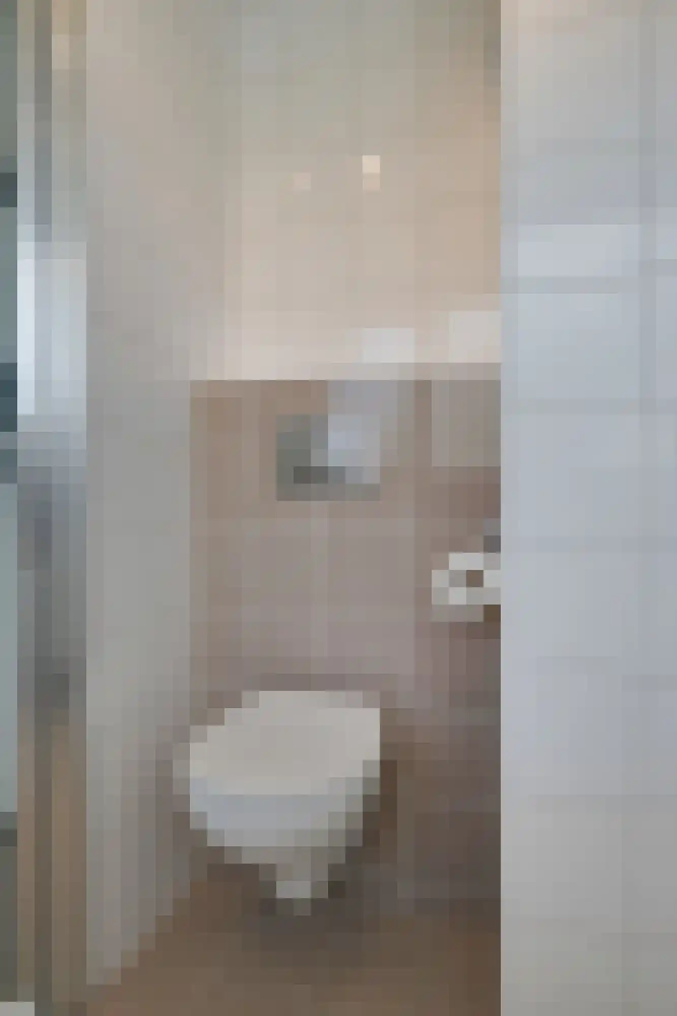 Voornestraat 24 Duiven thumbnail 41