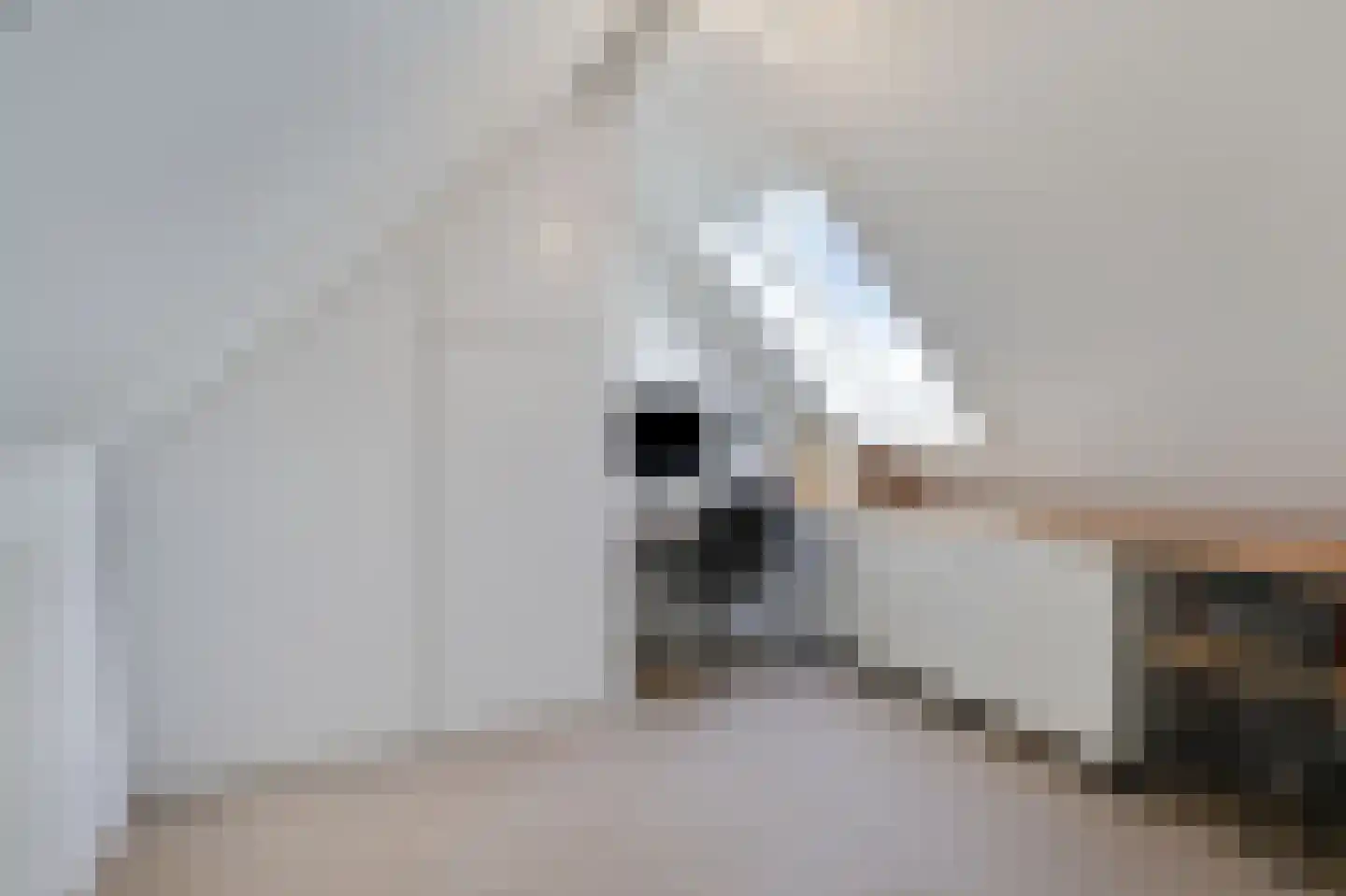 Voornestraat 24 Duiven thumbnail 47