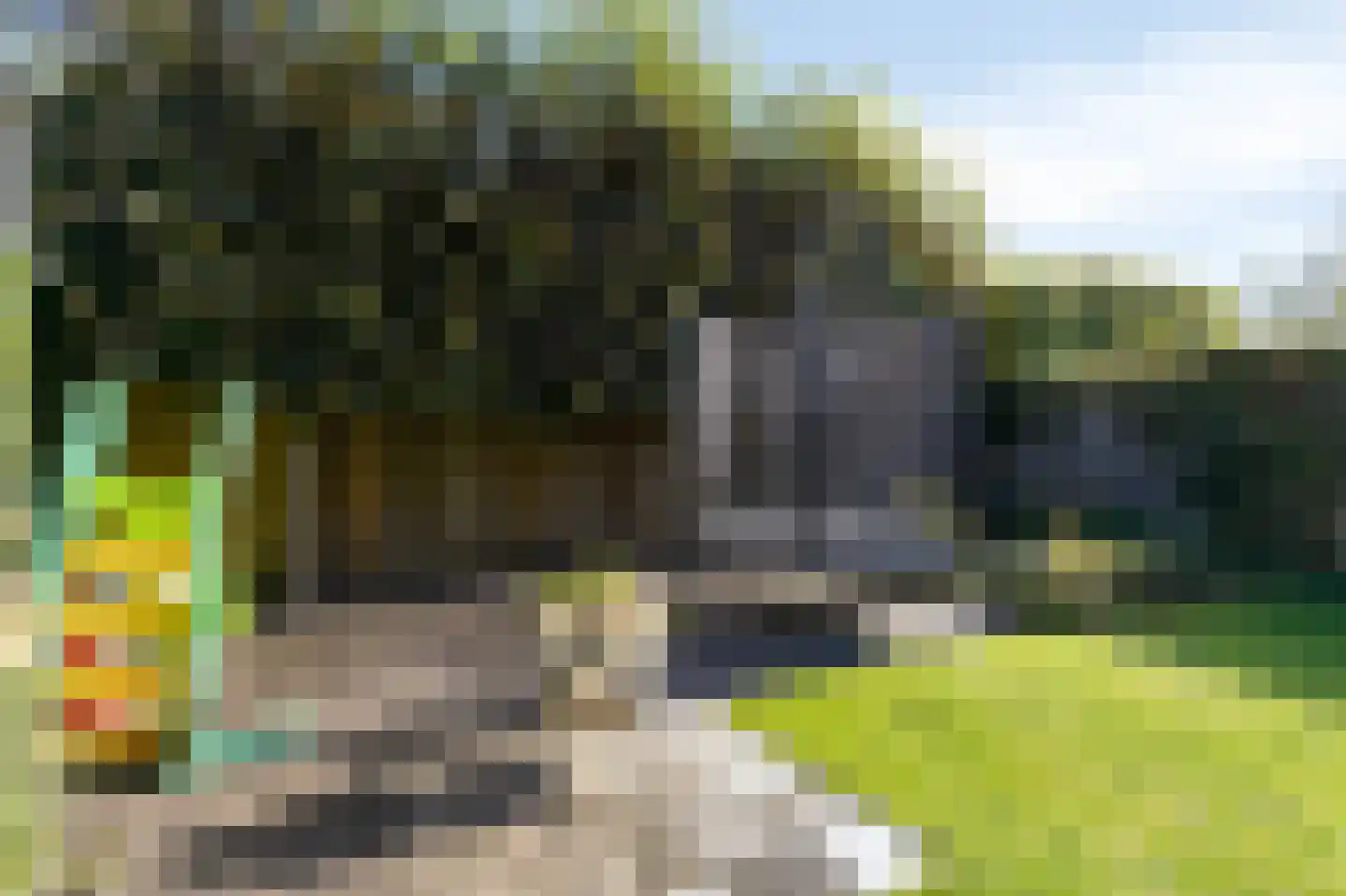 Voornestraat 24 Duiven thumbnail 53