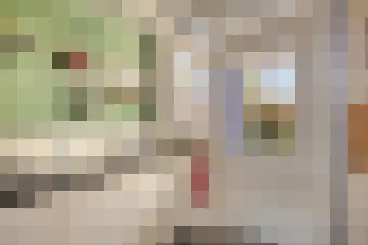 Voornestraat 49 Eindhoven thumbnail 11