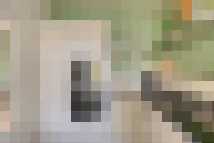 Voornestraat 49 Eindhoven thumbnail 12