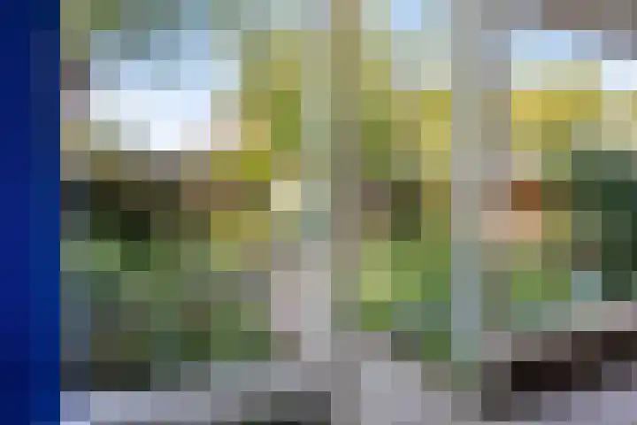 Voornestraat 49 Eindhoven thumbnail 31