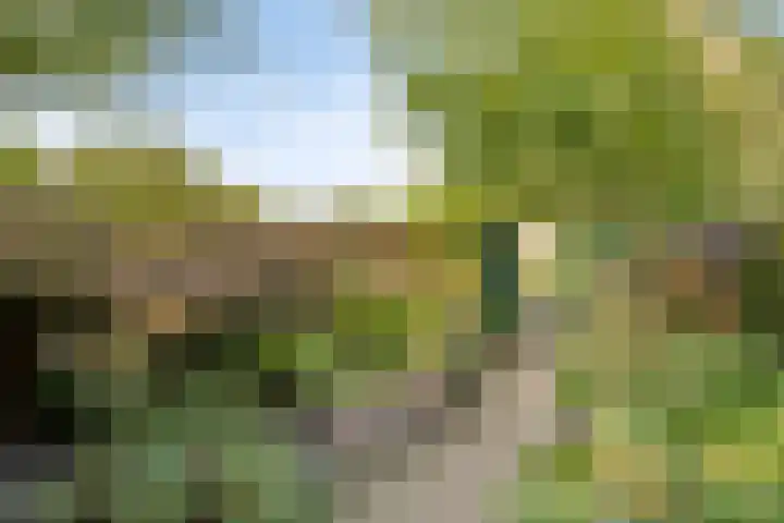 Voornestraat 49 Eindhoven thumbnail 33