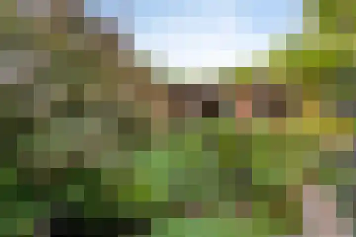 Voornestraat 49 Eindhoven thumbnail 37