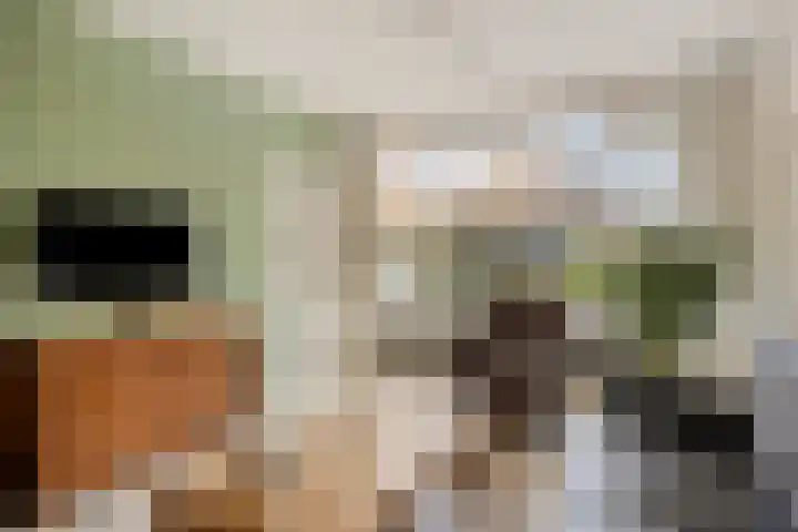 Voornestraat 49 Eindhoven thumbnail 7