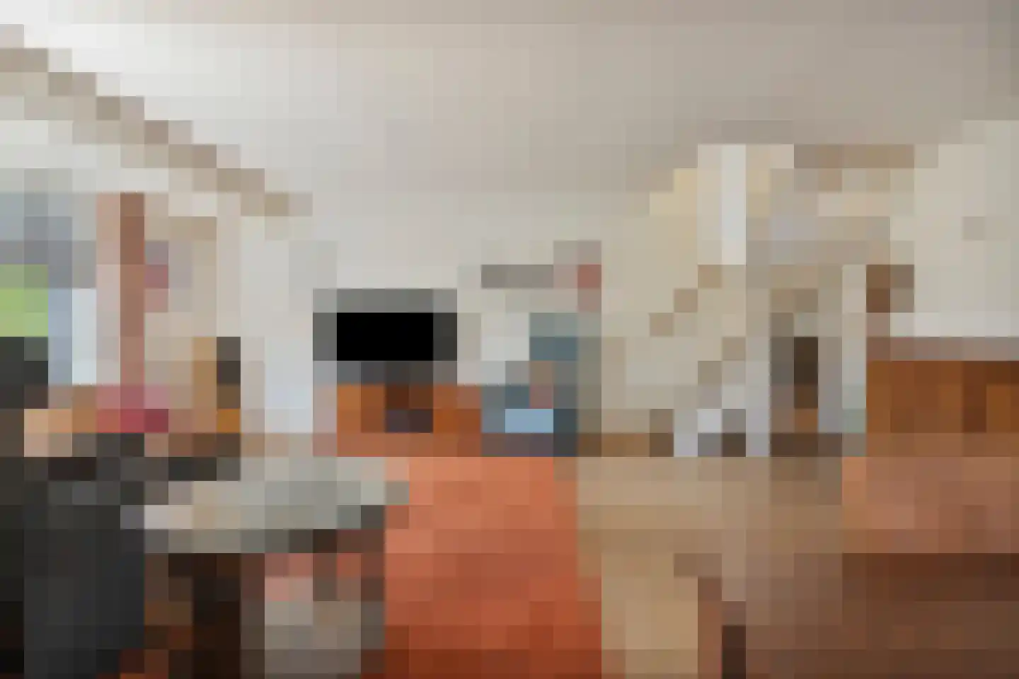 Voornestraat 7 Duiven thumbnail 11