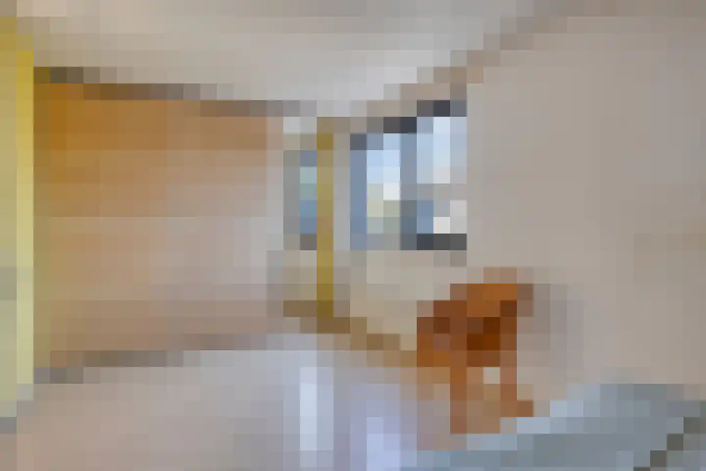 Voornestraat 7 Duiven thumbnail 27