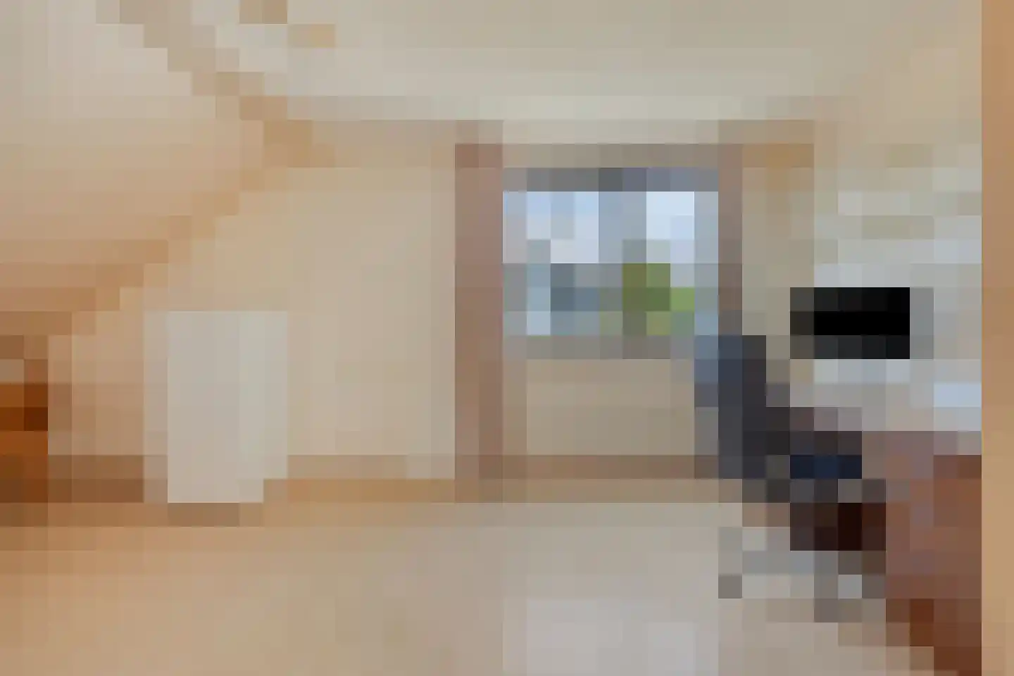 Voornestraat 7 Duiven thumbnail 28