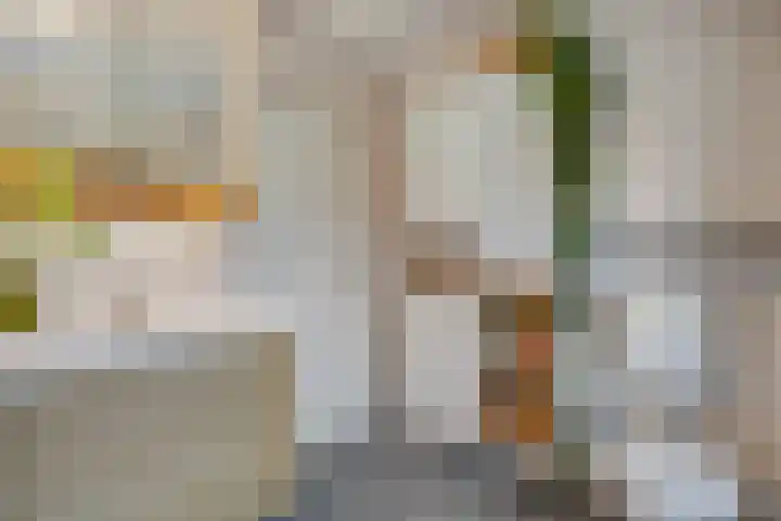 Voornestraat 9 Amsterdam thumbnail 14