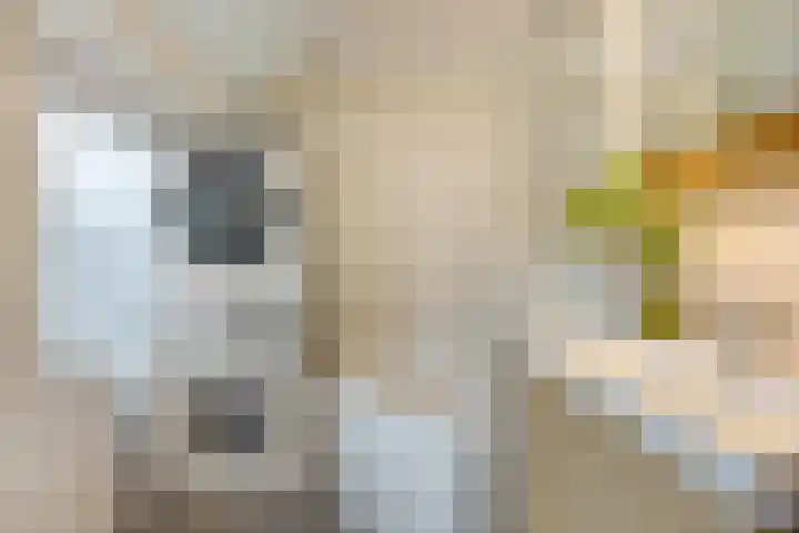Voornestraat 9 Amsterdam thumbnail 15