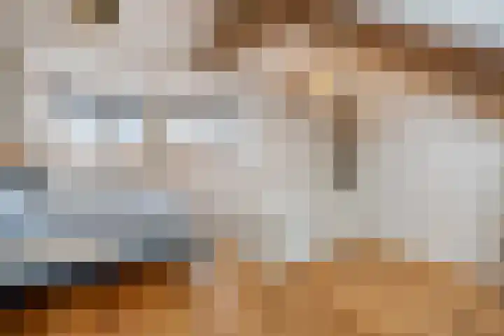 Voornestraat 9 Amsterdam thumbnail 19