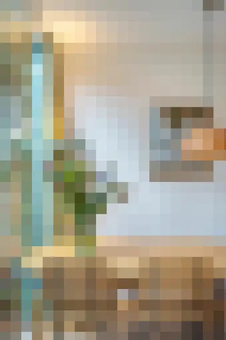 Voornestraat 9 Amsterdam thumbnail 31