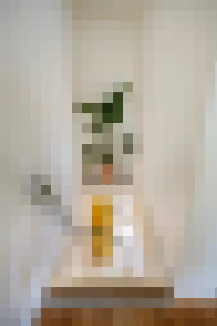Voornestraat 9 Amsterdam thumbnail 33