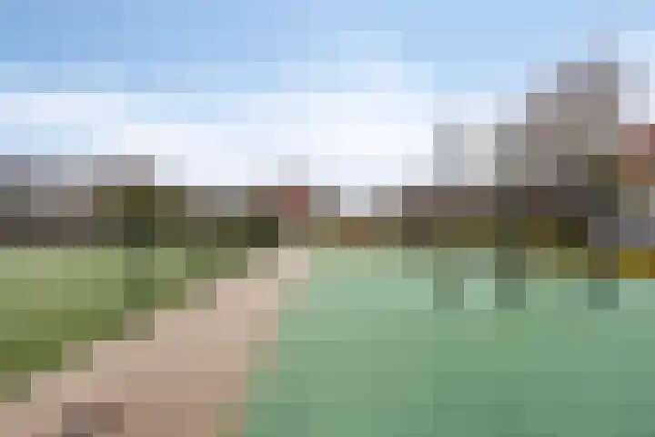 Voornestraat 9 Amsterdam thumbnail 38