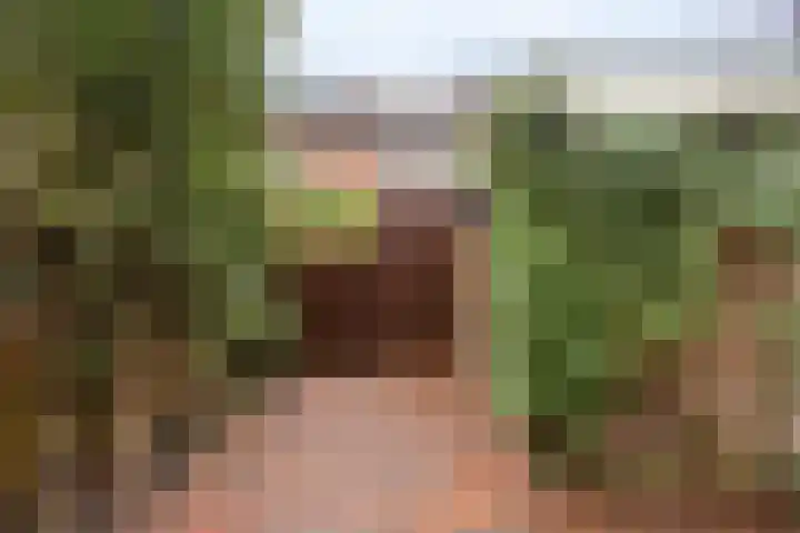 Voornestraat 9 Amsterdam thumbnail 5